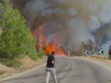 Μεγάλη η πυρκαγιά στα Μέγαρα: Απειλείται και το Αλεποχώρι - Εκκενώνεται οικισμός