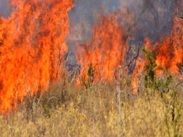 Πολύ υψηλός κίνδυνος πυρκαγιάς το Σάββατο για τις Περιφέρειες Αττικής και Στερεάς Ελλάδας