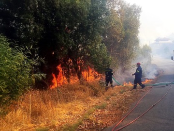 Μeteo: Υψηλός ο κίνδυνος πυρκαγιάς στα δάση της ανατολικής και νότιας Ελλάδα τις επόμενες ημέρες
