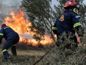 Δασικές πυρκαγιές: Ρεκόρ καμένων εκτάσεων φέτος στην Ευρώπη