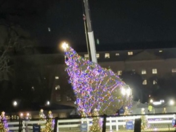 Ισχυροί άνεμοι έριξαν το χριστουγεννιάτικο δέντρο μπροστά από τον Λευκό Οίκο