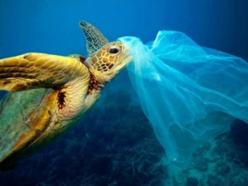 Πλαστικά σε ωκεανούς: Δυσοίωνες προβλέψεις για τριπλασιασμό έως το 2040