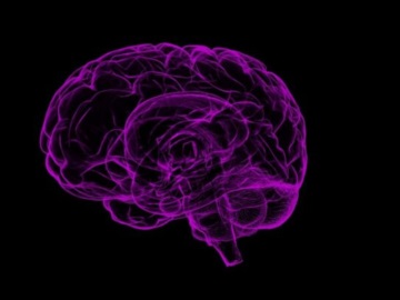 Επιστήμονες κατέγραψαν δραστηριότητα που συνδέεται με τη συνείδηση σε ετοιμαθάνατο εγκέφαλο