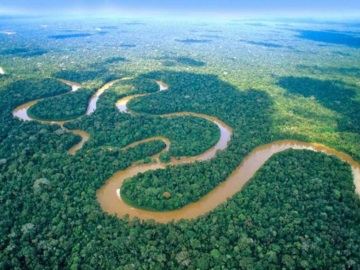 Βραζιλία: Μειώθηκε κατά 31% η αποψίλωση του τροπικού δάσους του Αμαζονίου