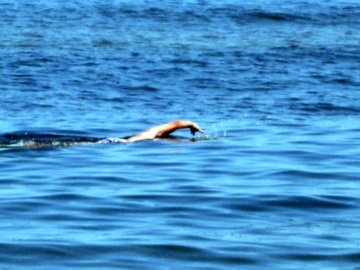 Απαγορεύσεις στον Σαρωνικό στο πλαίσιο κολυμβητικών αγώνων