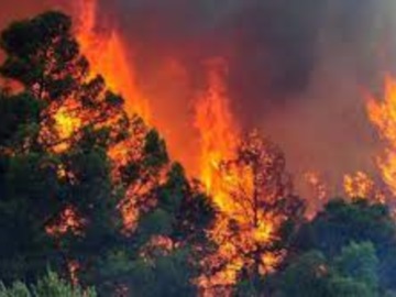 Πυρκαγιά σε δασική έκταση στην Κυψέλη Μεθάνων