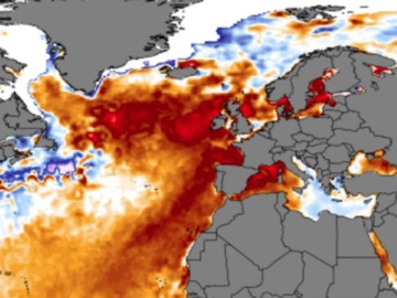 Ο Βόρειος Ατλαντικός βιώνει ένα «πρωτοφανές» θαλάσσιο κύμα καύσωνα