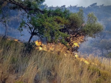 Πολιτική Προστασία: Απαγόρευση κυκλοφορίας σε δάση, σε περιοχές όπου ο κίνδυνος εκδήλωσης φωτιάς είναι μεγάλος
