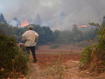 Πυρκαγιά και στην Κάρυστο – Υπό έλεγχο η αναζωπύρωση στη Μάνδρα 