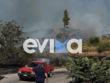 Συνεχείς αναζωπυρώσεις στην Κάρυστο - Στις αυλές των σπιτιών οι φλόγες σε Πλατανιστό και Ποτάμι  (βίντεο)