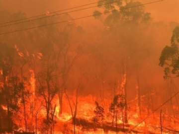 Μεγάλες πυρκαγιές σε Ιταλία, Πορτογαλία και Κροατία 