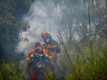 Σε εξέλιξη η πυρκαγιά στη Χίο – Ισχυρές δυνάμεις στο έργο κατάσβεσής της, προκλήθηκε από τροχαίο ατύχημα