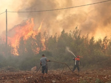 Φωτιά στον Όλυμπο, στην τοποθεσία Μπεχτέσι της κοινότητας Καρυάς Ελασσόνας