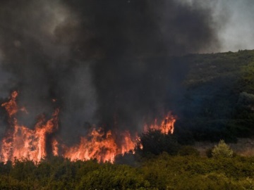 Πλησιάζει το δάσος της Δαδιάς η φωτιά στην Αλεξανδρούπολη 