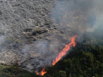 Eυρωπαϊκή Επιτροπή για Αλεξανδρούπολη: Η μεγαλύτερη πυρκαγιά στην ΕΕ από το 2000