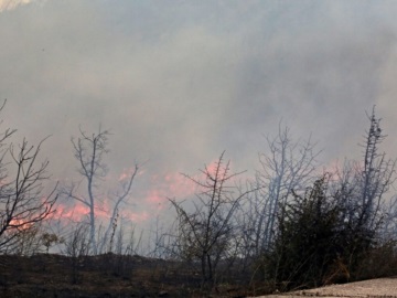 Φωτιά στον Έβρο: Μήνυμα του «112» για εκκένωση της περιοχής Γιαννούλη