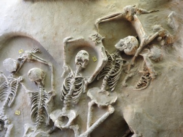  «Δεσμώτες του Φαλήρου»: Συνεχίζονται οι εργασίες διάσωσης των 78 αλυσοδεμένων ανθρώπινων σκελετών