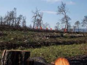 Η ΗELLENiQ ENERGY ολοκληρώνει  τα κρίσιμα αντιδιαβρωτικά έργα στις καμένες δασικές εκτάσεις της Δυτικής Αττικής