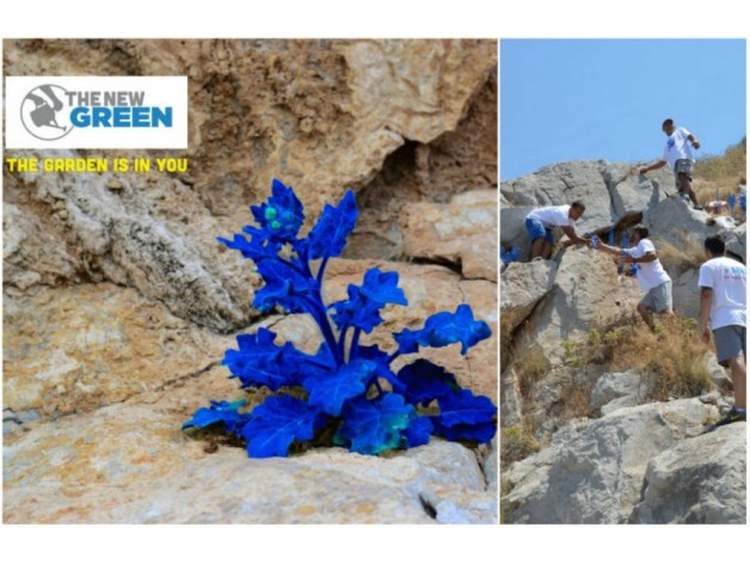 To νέο πράσινο της Μαρίας Τσάγκαρη σε μια εγκατάσταση στους βράχους της Ύδρας